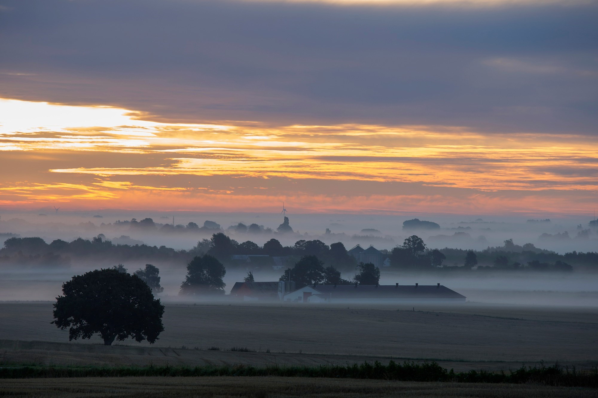 En Solopgang Over Diset Landskab