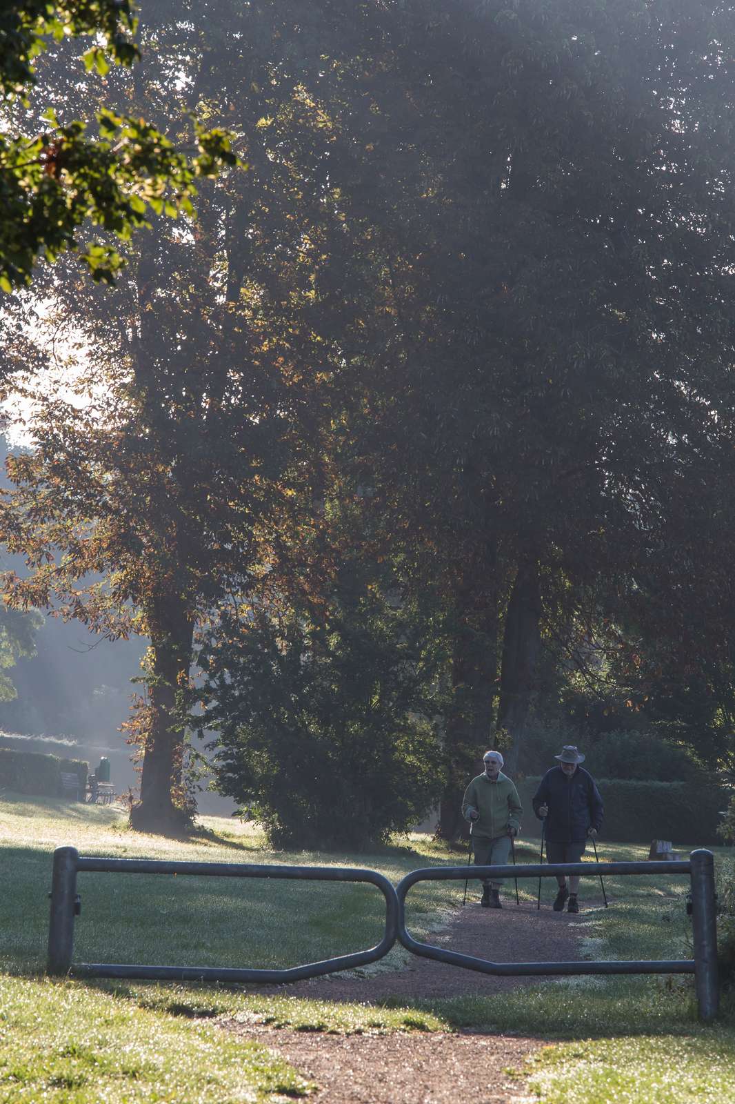 Billede af mand og kvinde gående blandt træer med stavstænger
