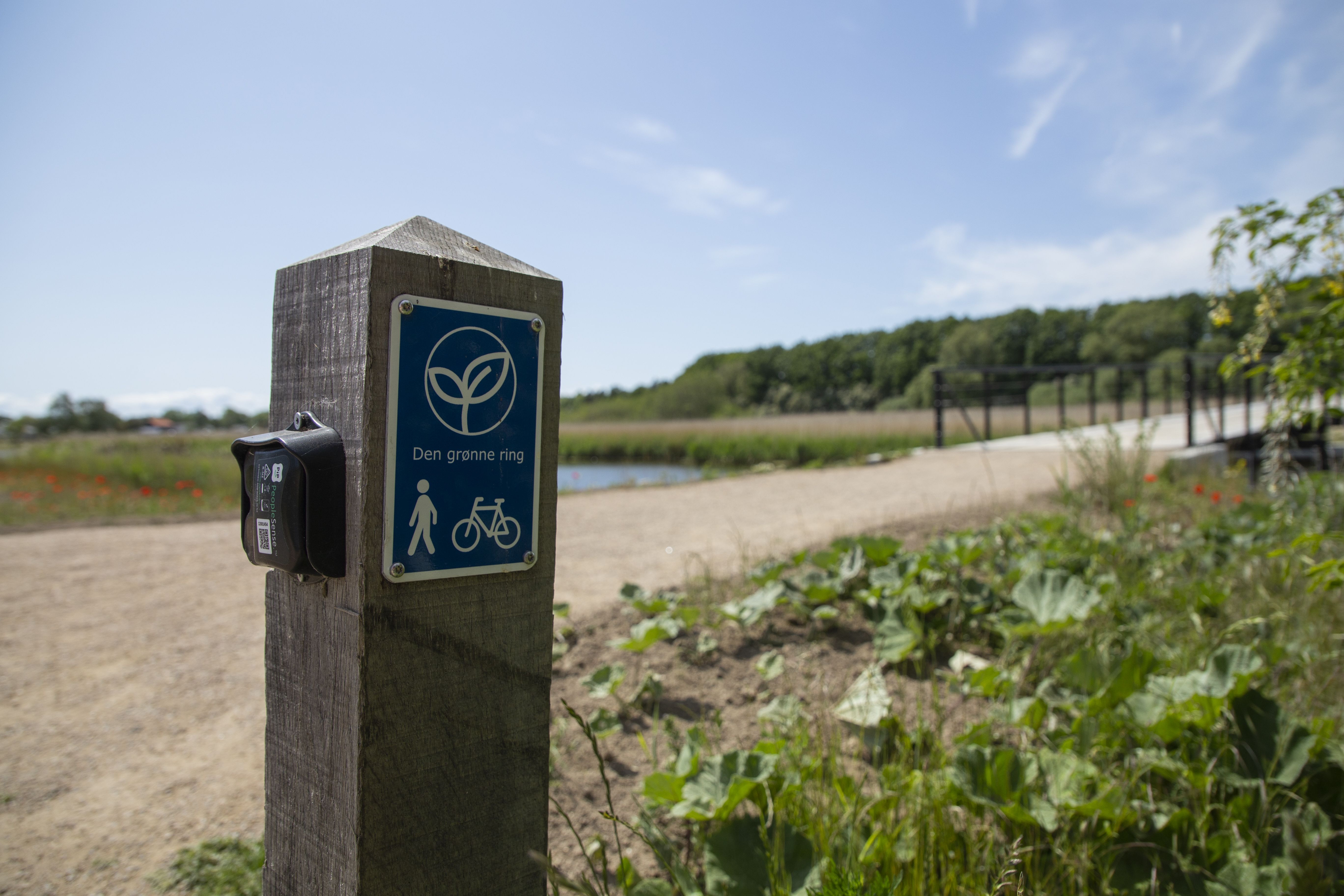 Pæl med Den Grønne Ring. 