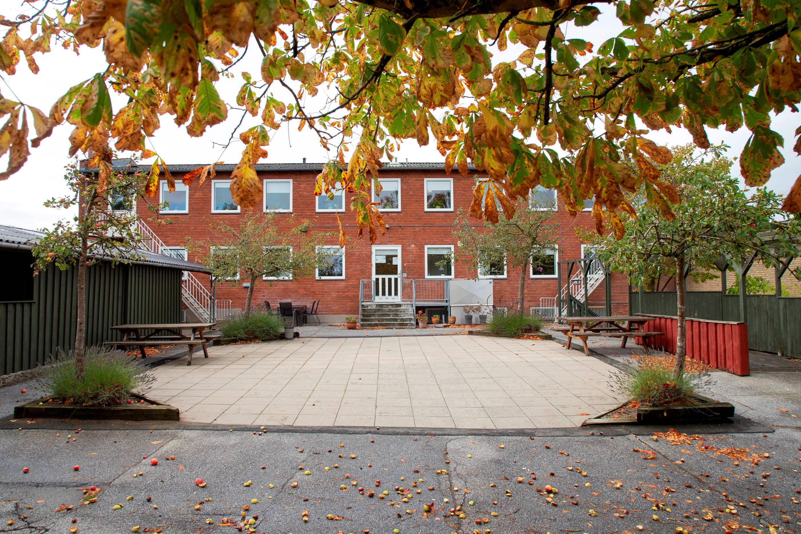 På billedet er en stor 2 etages rød bygning i baggrunden, der er fliser foran og træer på hver sin side. Imellem hus og træer er der en terrasse med bord bænke sæt.