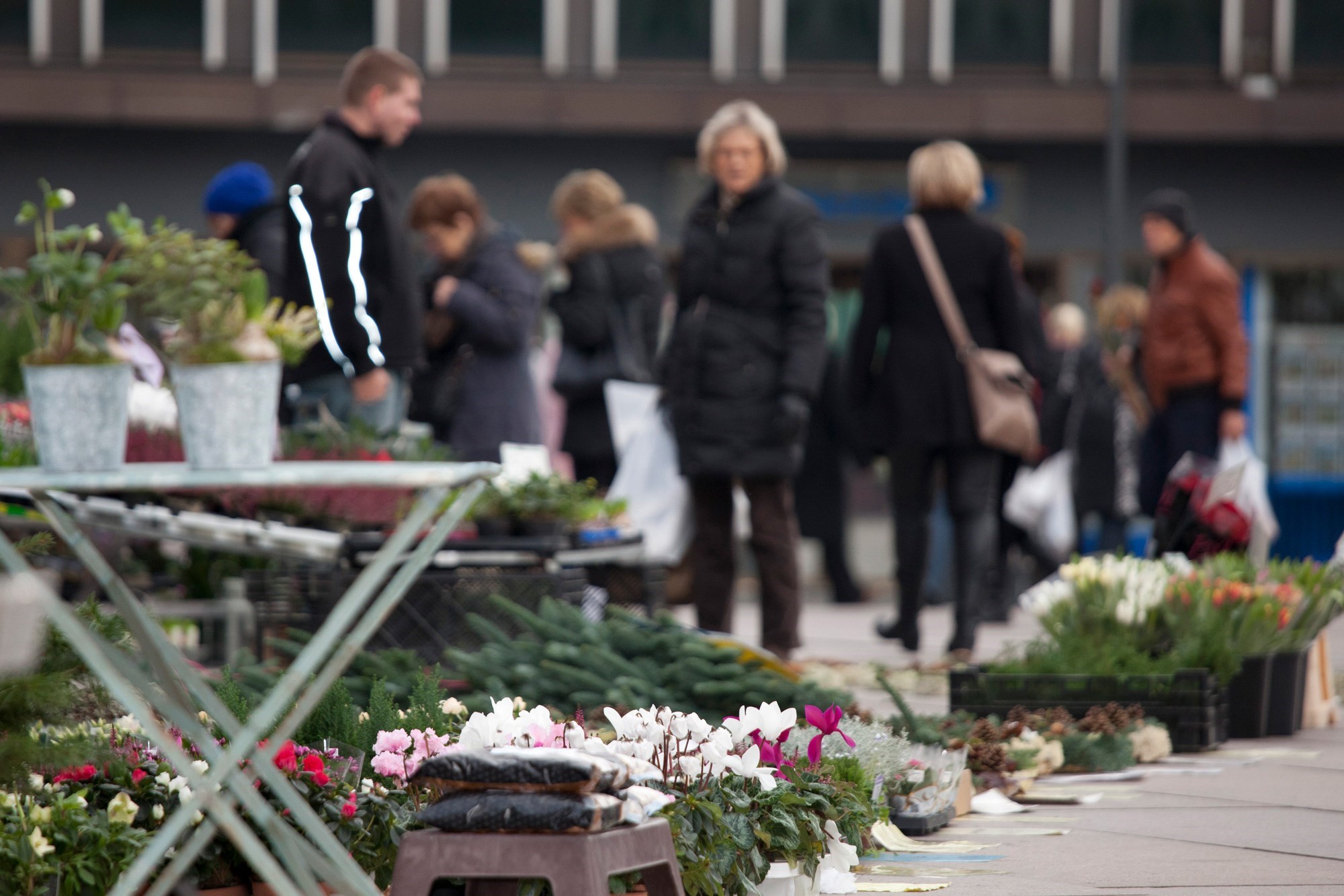 Blomster står til salg på marked i Næstved bymidte