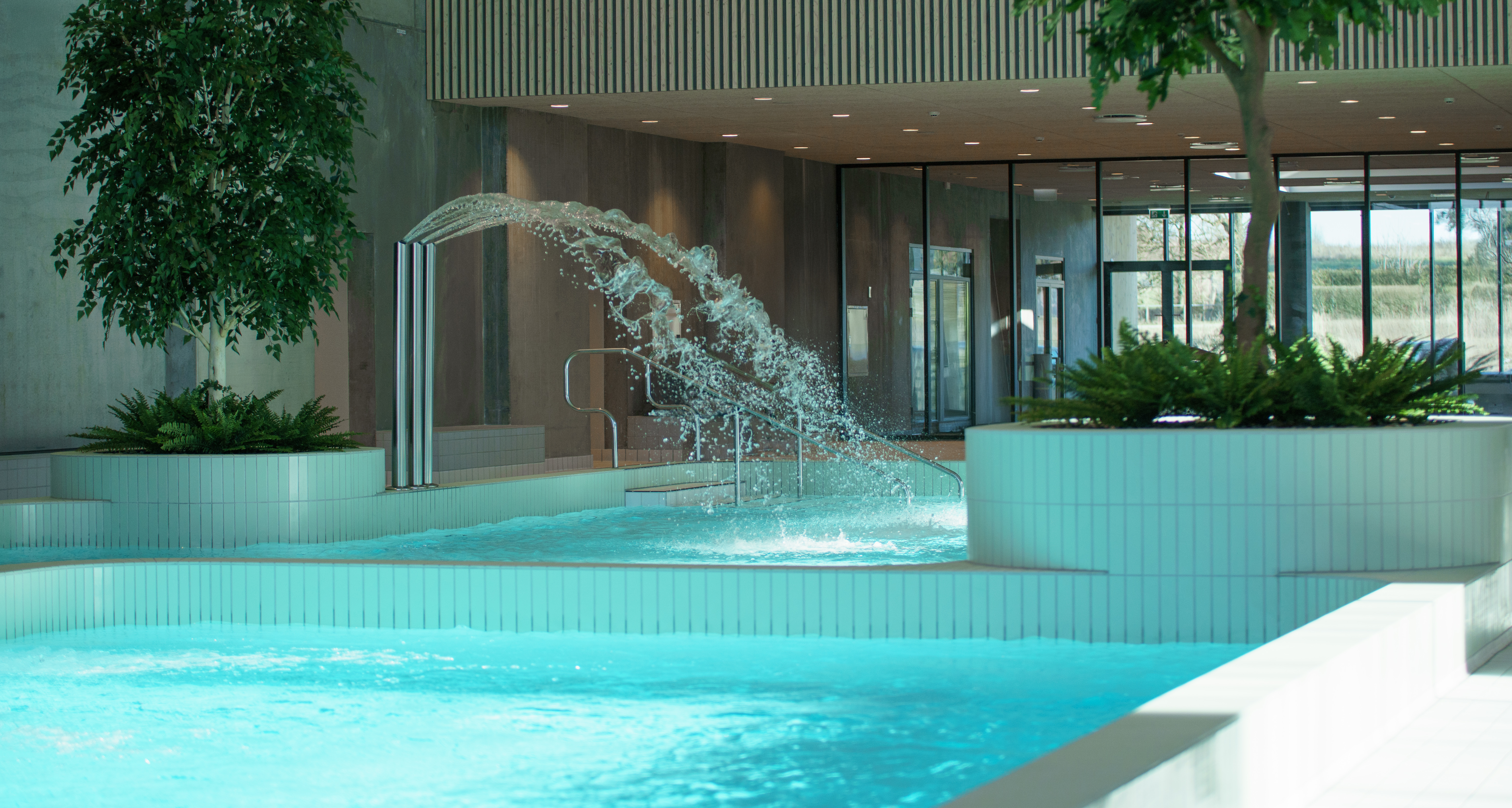 Mammutbrusere ved Plaskelandet i Næstved Svømmehal