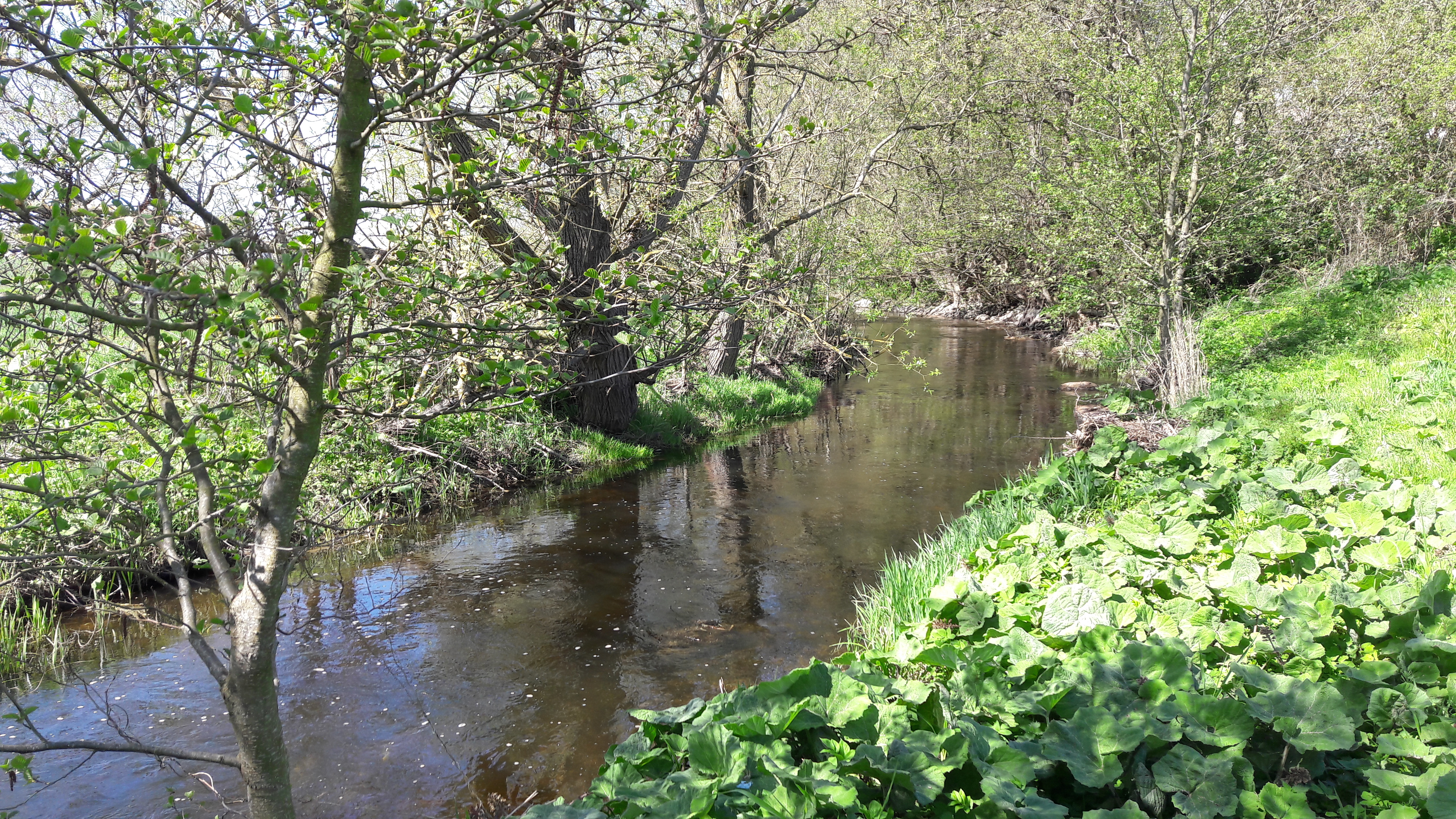Øvre Suså Vandløb, vandråd, vandplan