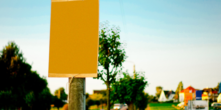 Valgplakat på stolpe ved vej