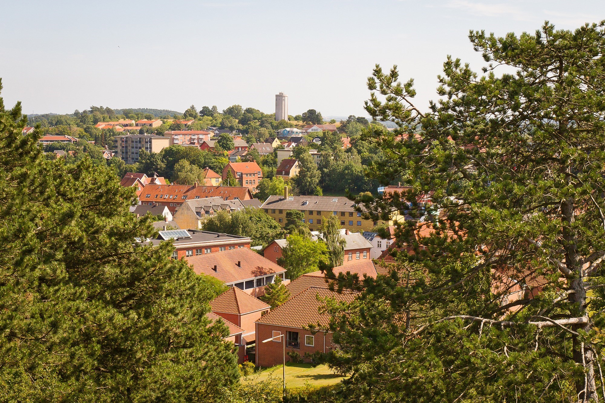 Røde hustage ses igennem to træer 