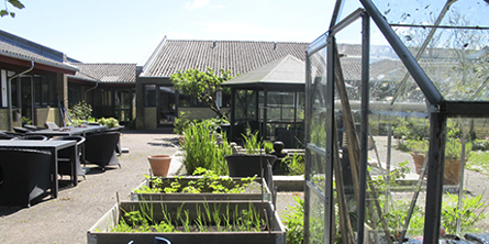 Fælles have og drivhus på Birkebo