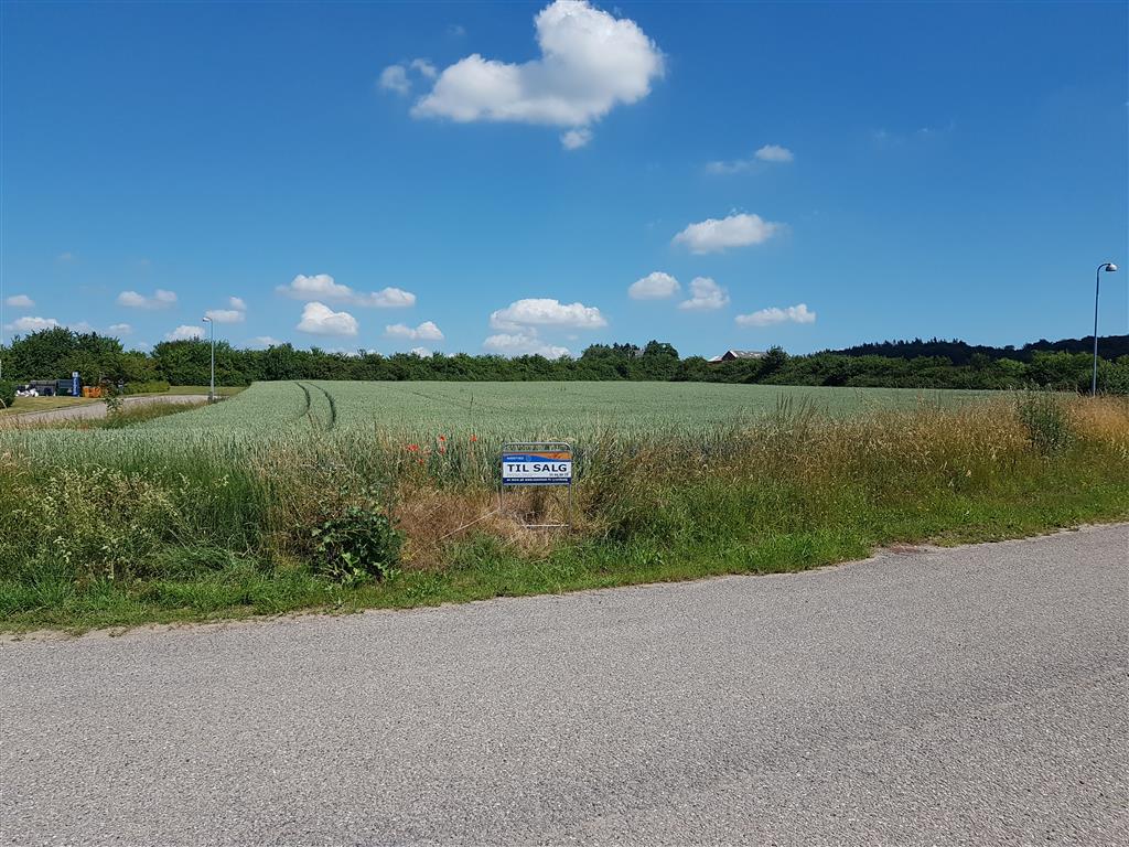 Foto af erhvervsområdet Glumsø Erhvervspark