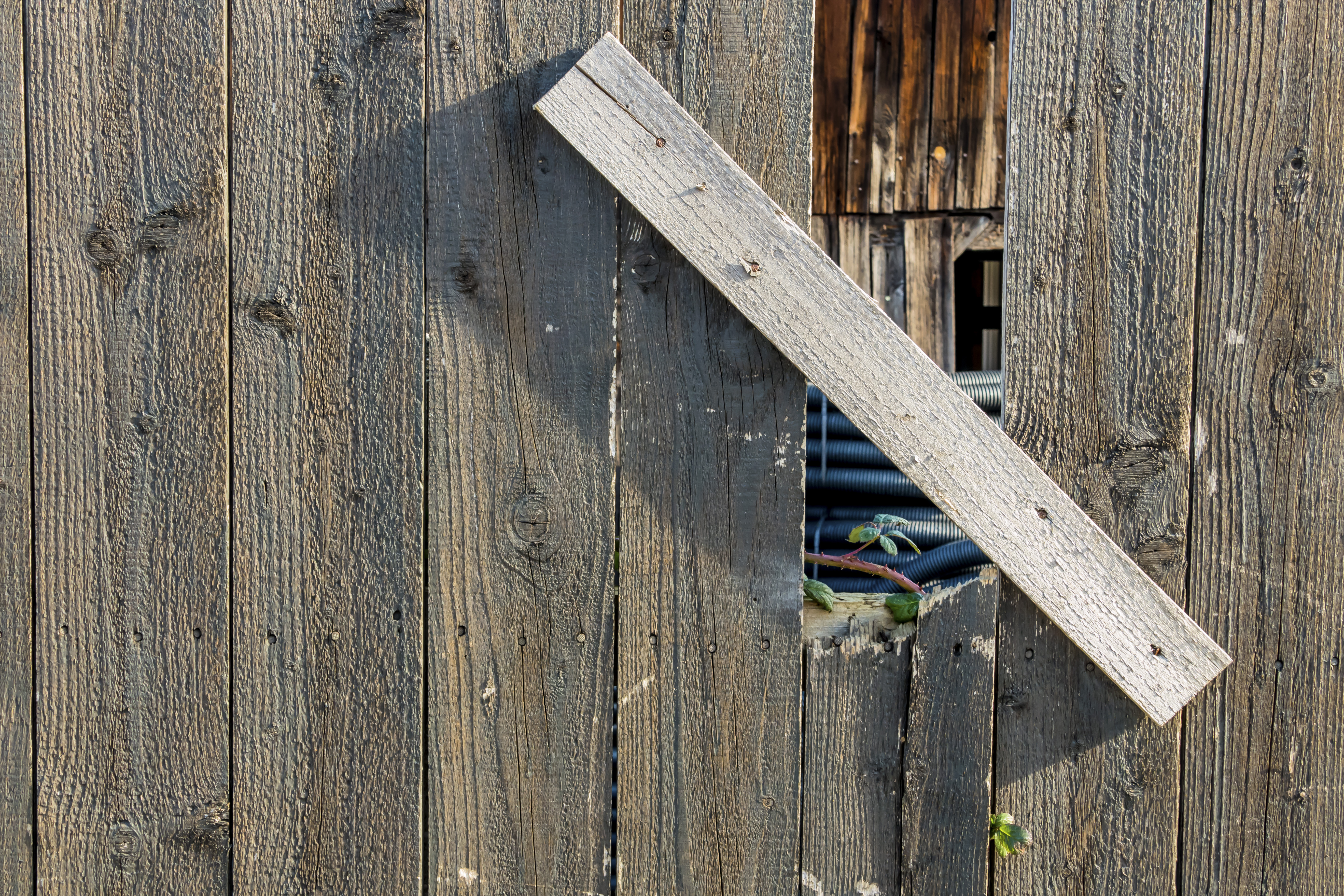 Billede af et hegn, som indikerer nabostrid