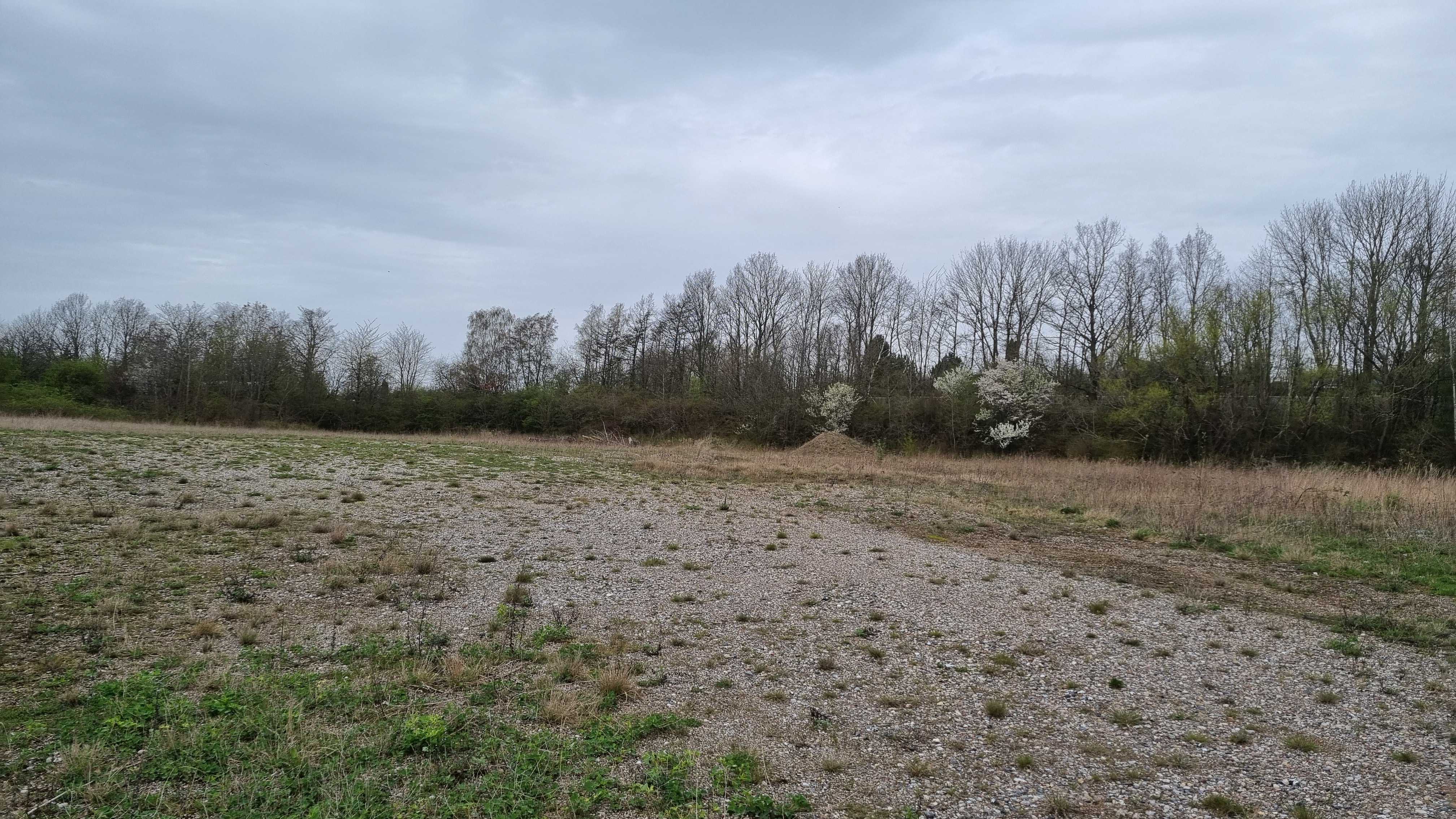 Billede inden fra erhvervsgrunden på Smedevænget 32 i Næstved