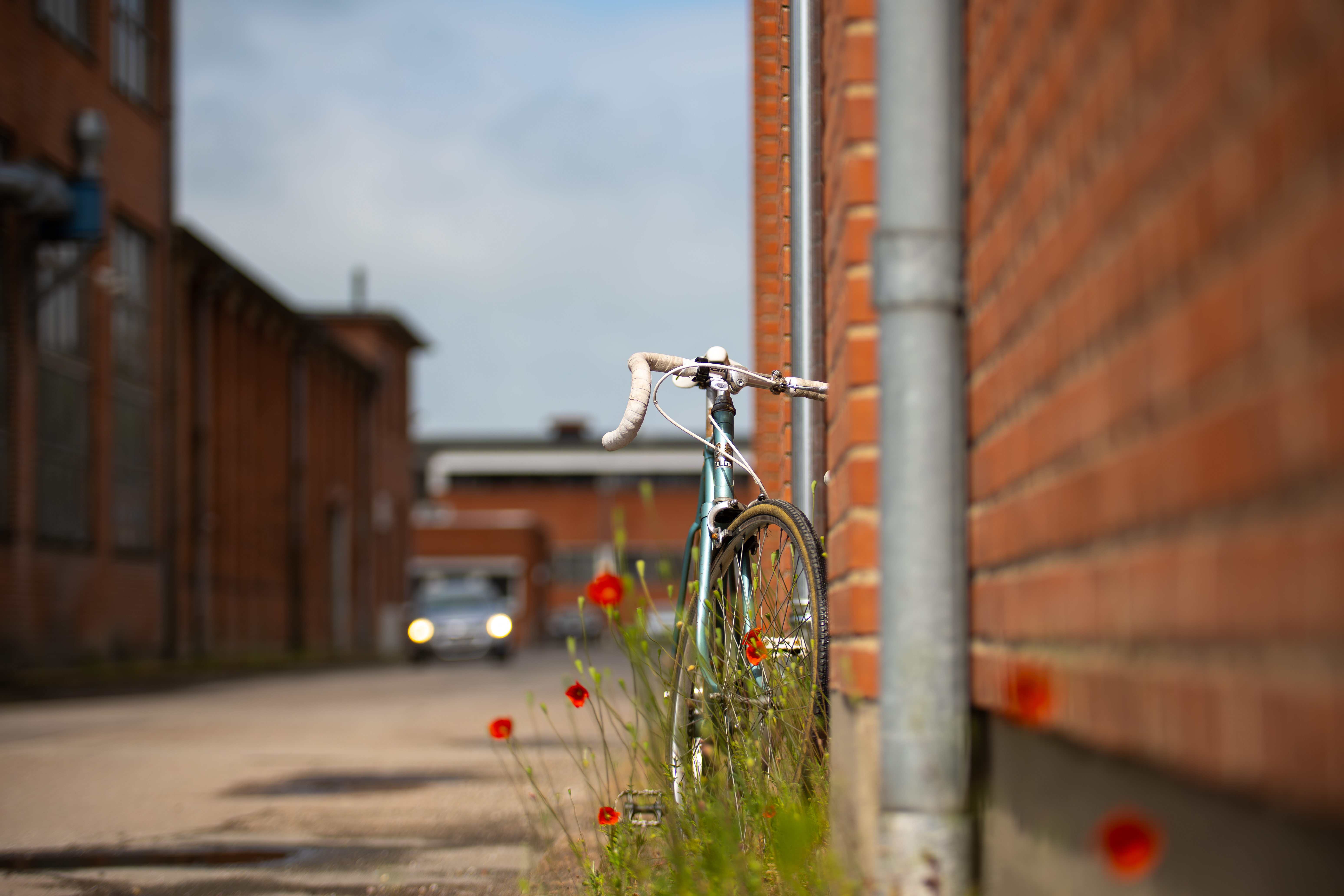 Cykel og valmuer ved Maglemølle i Næstved