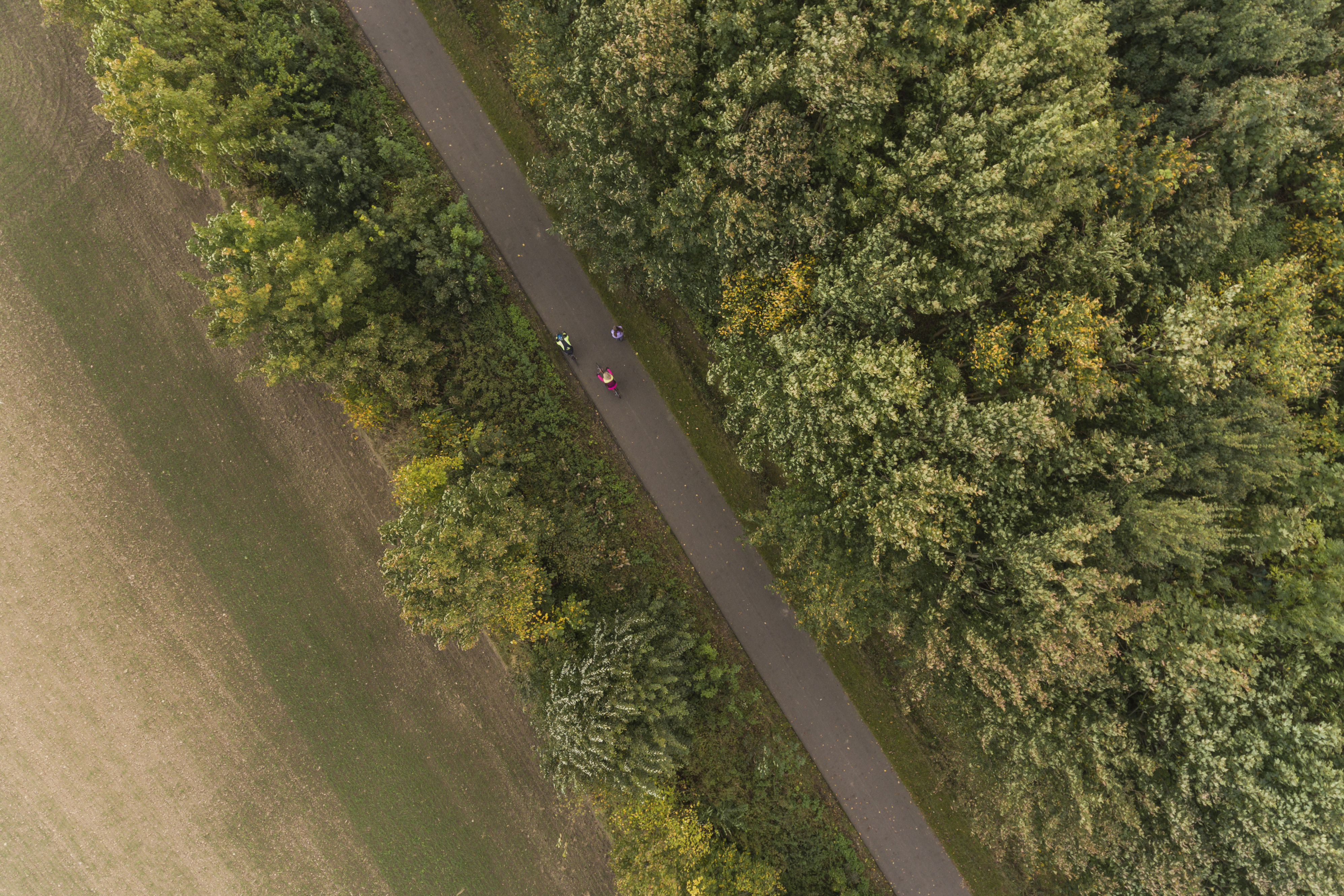 Fodsporet set i fugleperspektiv