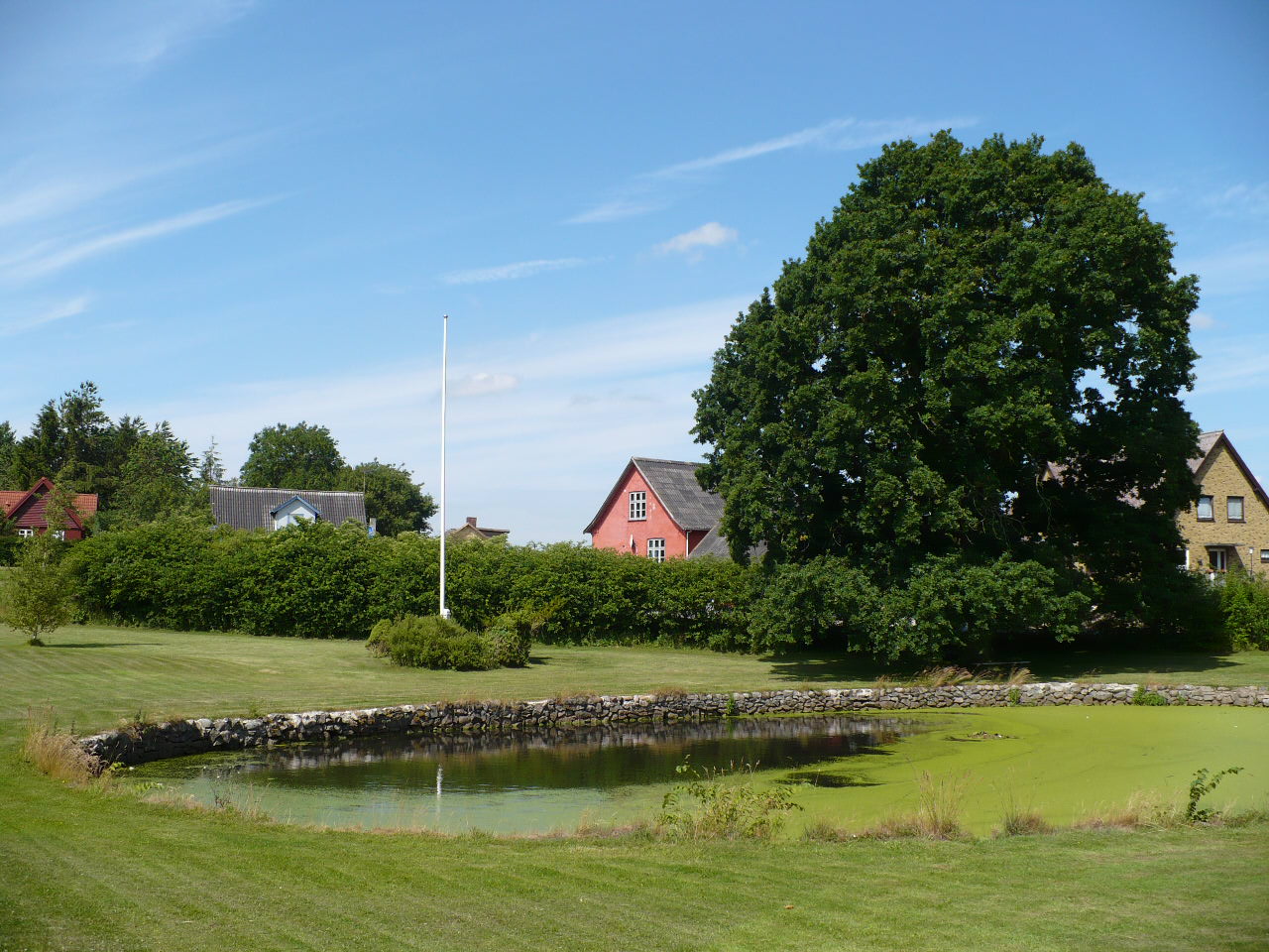 Gadekær Blangslev med blå himmel og træ med stor grøn krone