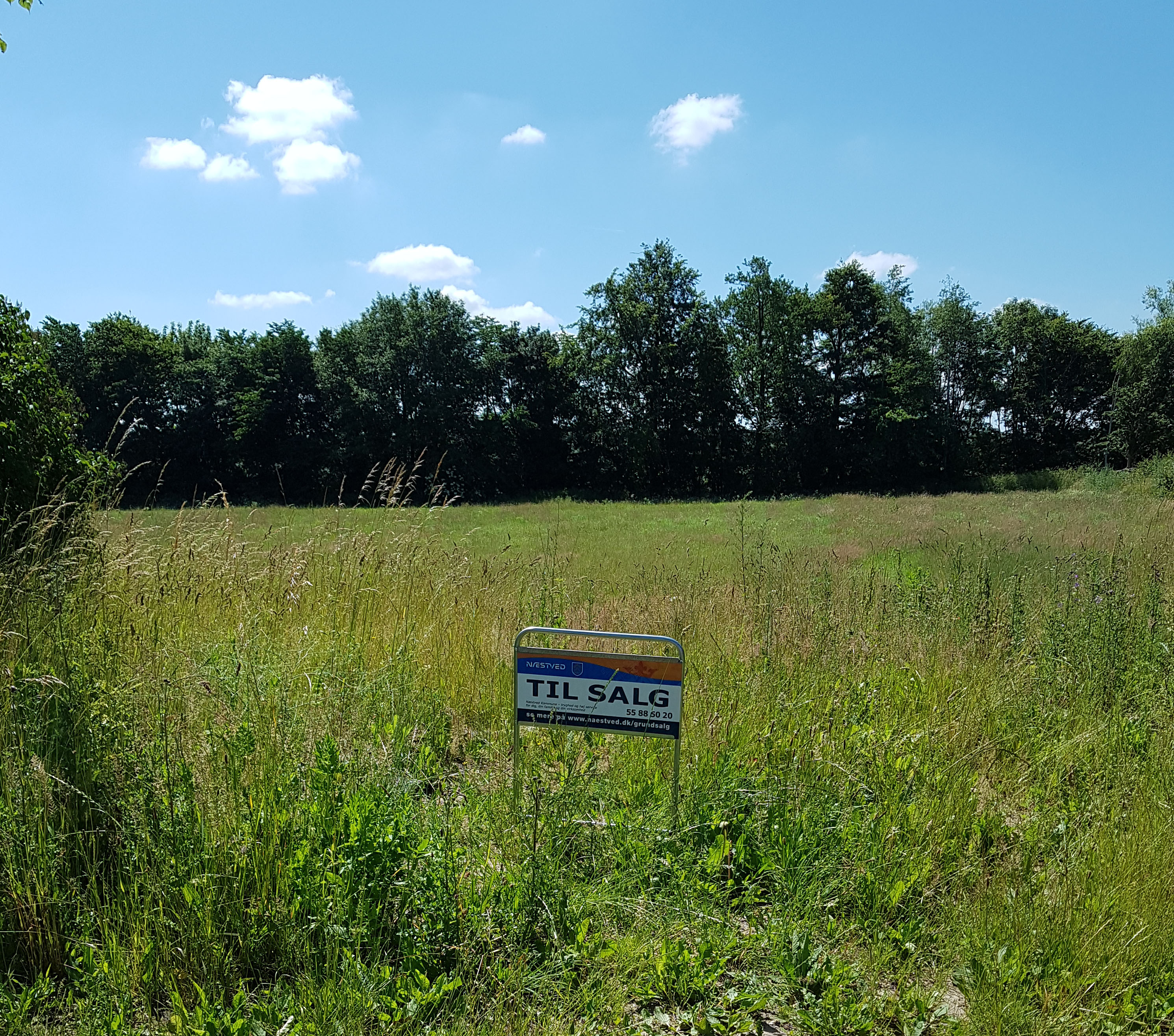 Billede af jordbrugsparceller i Sandby