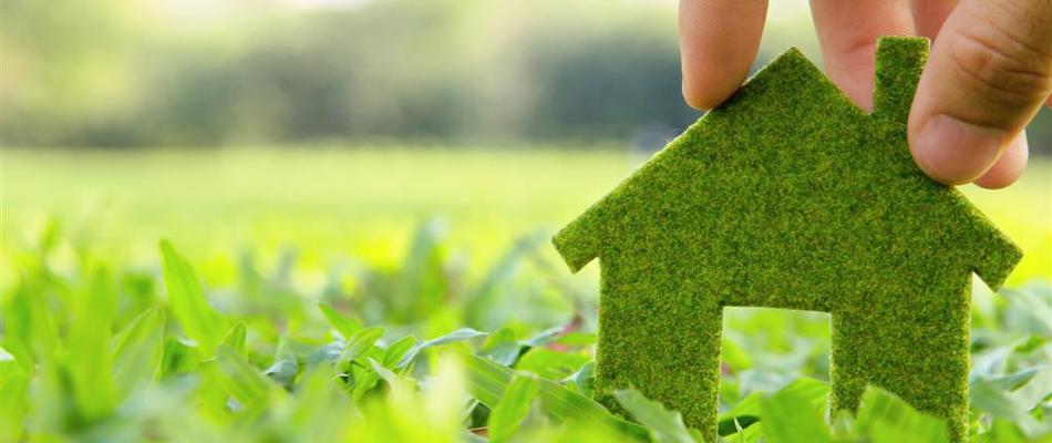 Billede fra Colourbox - hus i grønt